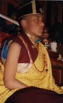 His Holiness the 17th Karmapa